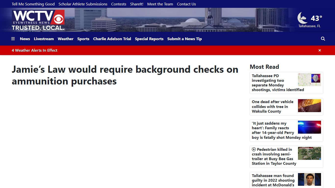 Jamie’s Law would require background checks on ammunition ... - WCTV